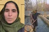 Home to Fish Farm: Budgam Woman Thrives in Fish Farming