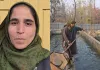 Home to Fish Farm: Budgam Woman Thrives in Fish Farming