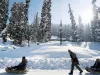 The Unsettling Impact of Global Warming on Kashmir's Winter Wonderland