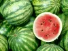 Watermelons in Kashmir Safe for Consumption, Expert Test Confirms