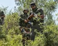 Large Quantity of War-Like Stores Recovered in J&K's Kupwara