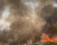 Dry Grass and Bushes Ignite in Brari Nambla, Srinagar, Flames Controlled After Hard Efforts