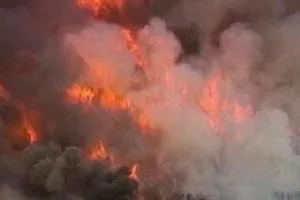 Residential Structure in Kishtwar Engulfed in Fire, Livestock Perish