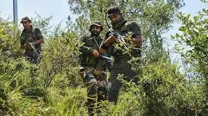 Large Quantity of War-Like Stores Recovered in J&K's Kupwara
