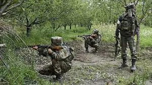 Baramulla Encounter: Unidentified Militant Killed, Search Operation Underway: Police