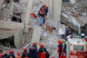 Earthquake in Turkey kills 284, injures 2,383 - Vice President