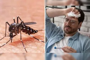 Fully Prepared To Tackle Swelling Dengue Cases: Principal GMC Jammu 